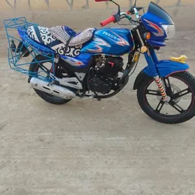 Fekon FK200-14G 2023