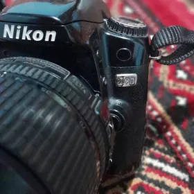 nikon