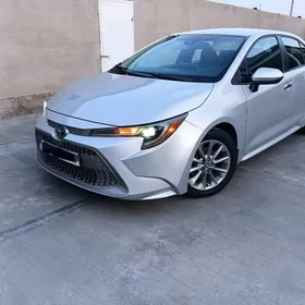 Toyota Corolla 2020