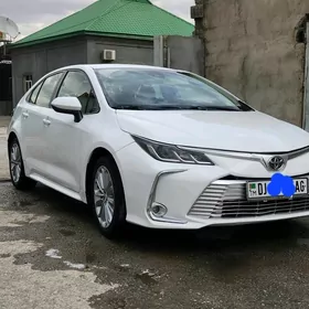 Toyota Corolla 2019