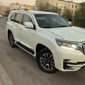 Prado kazerog 6stukly