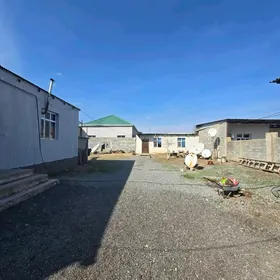 Coganly PlanJay! 6sotyk