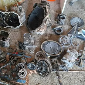 Wloksfagen karopga zapcas