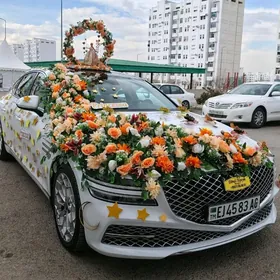 MASYN BEZEG TOY BEZEG TOY PAY