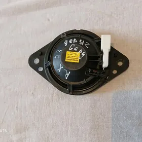 LexusRx yzsag gapydaky kalanka