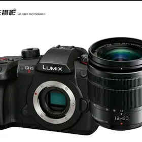 lumix DC GH-5