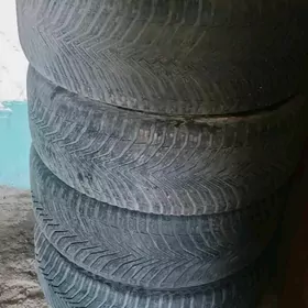 245.55.19 мечилен