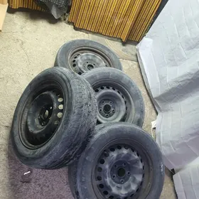 16lyk gara diska pakryska