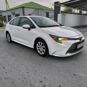 Toyota Corolla 2020