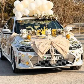 caga masyn bezeg mersedes bmw