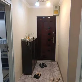 Knijnin yantnda Full jay