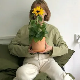 Gül magazyna işgär gyz gerek