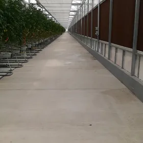 Parnyga işgär gerek