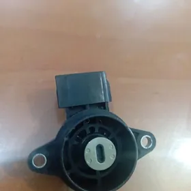 laslonka datcik (holostoy dat)