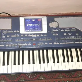 Korg pa 800