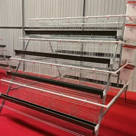 Towuk kletka sataryn