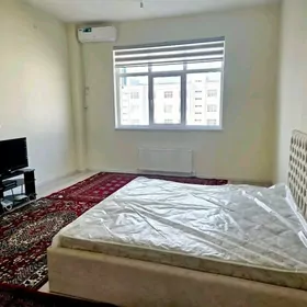  Arenda jay ànew Polelitka