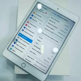 iPad 4mini