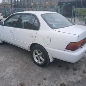 Toyota Corolla 1993