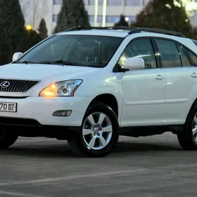 Lexus RX 330 2004