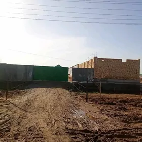 Arenda juyje, towuk ketek