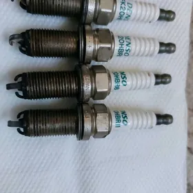 Orginal morda swec tayota