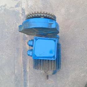 reduktyr matory bilen bile