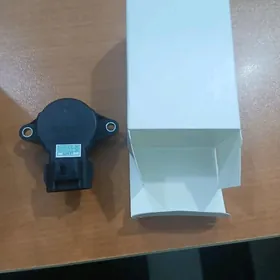 Coasterin Holostoy datcigi.