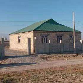 Ak bugday genesligi karobka