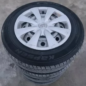 disga pakrysga 16 karolla