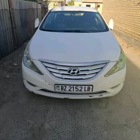Hyundai Sonata 2010