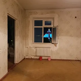 квартира мир 2