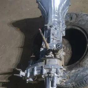 karopga Hundai gullapr