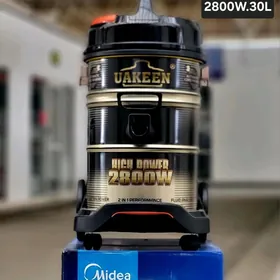 tozan sorujy plesos palisos