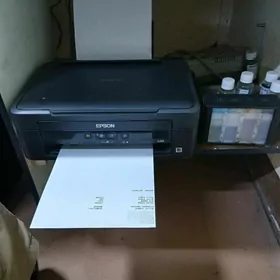Epson L210