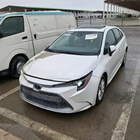 Toyota Corolla 2021