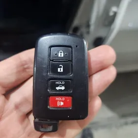 Azýada kemriň puldy