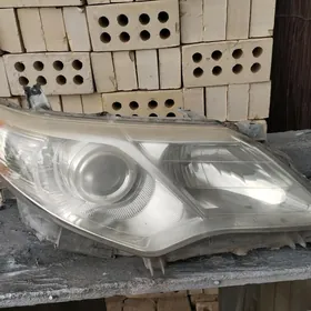 Palta kemri sag tarap fara