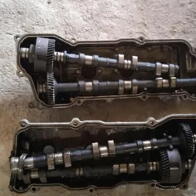 wanus tayota. lexus 300.