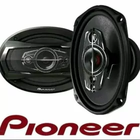 pionner kalonka 1000v