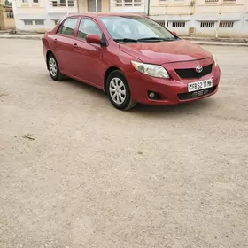 Toyota Corolla 2010