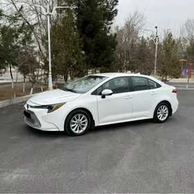 Toyota Corolla 2019