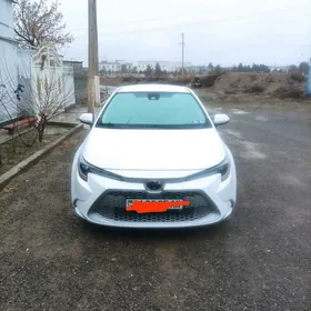 Toyota Corolla 2022