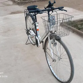 Tigir 27 lik hemme zat gowy