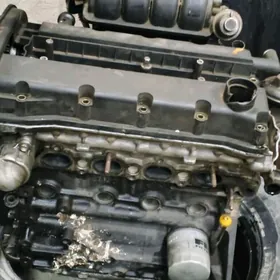 mator galowka bile 1.6m