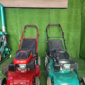 YAOU ot oryan aparat