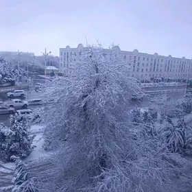 Satlyk Gagarin 4 etaz 2 kom