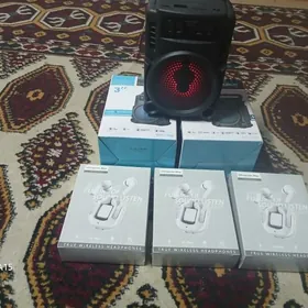 kiçi kalonka nausnik