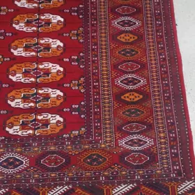 2 .50 - lik Tàze dokalan.