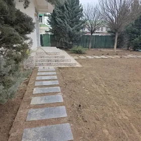 Taze zaman katez 1 tapgyr